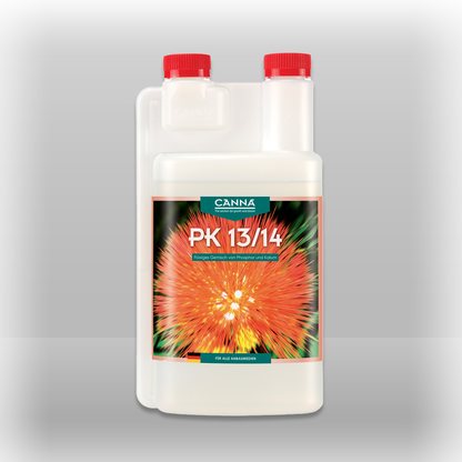 Canna PK 13-14