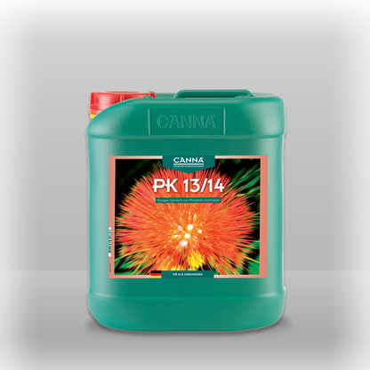 Canna PK 13-14